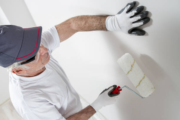 Best Drywall Texturing  in Ives Estates, FL